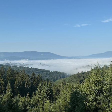 Apartmán Golden Nest Jablunycja Exteriér fotografie