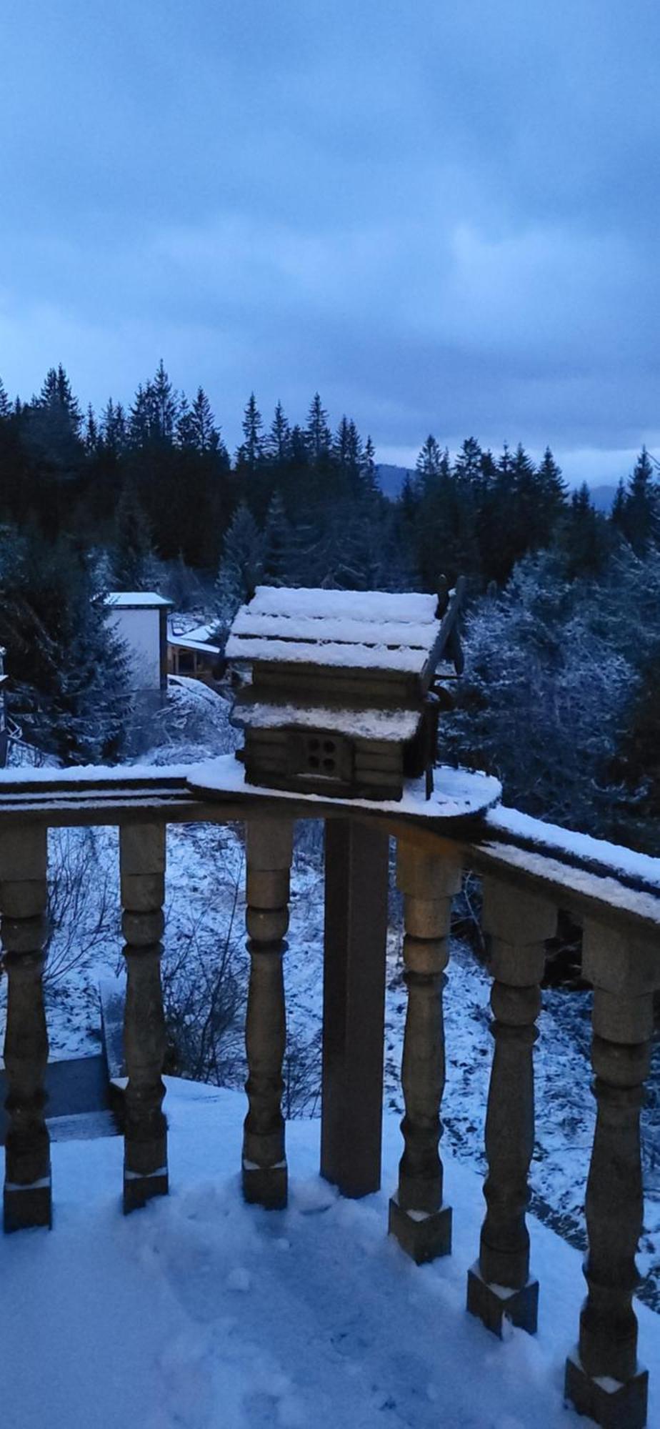 Apartmán Golden Nest Jablunycja Exteriér fotografie